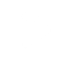 Stylized gray MSLC logo representing trusted Saudi logistics and freight services provider.
